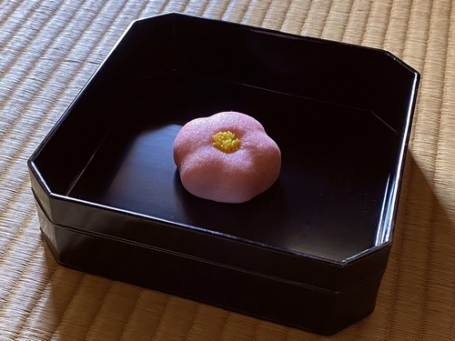 新春茶会の写真