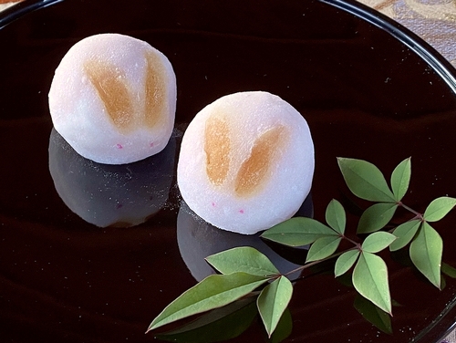 新春茶会の写真