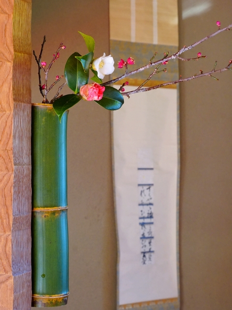 新春茶会の写真